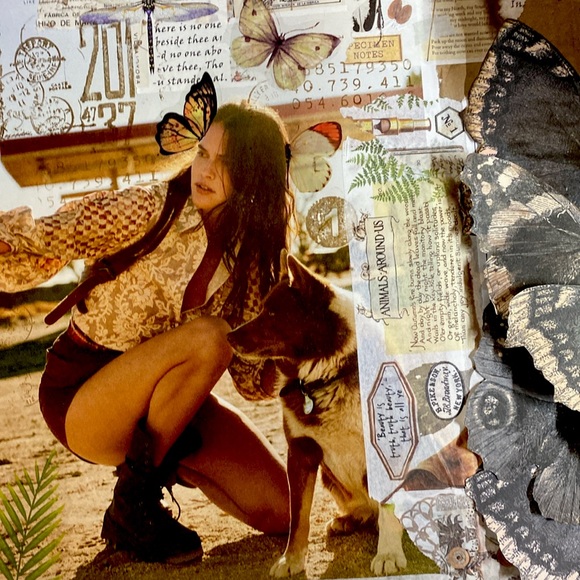 grateful art mailer / B - Picture 1 of 1